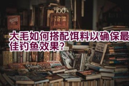 大毛如何搭配饵料以确保最佳钓鱼效果？