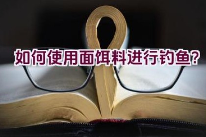 “如何使用面饵料进行钓鱼？”