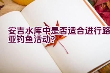 安吉水库中是否适合进行路亚钓鱼活动？