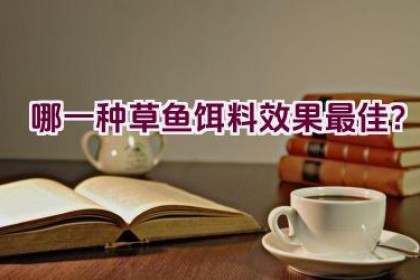 哪一种草鱼饵料效果最佳？