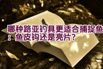哪种路亚钓具更适合捕捉鱼：鱼皮钩还是亮片？
