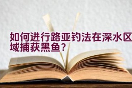 如何进行路亚钓法在深水区域捕获黑鱼？