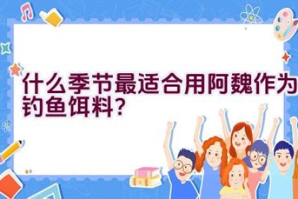 什么季节最适合用阿魏作为钓鱼饵料？