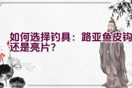 如何选择钓具：路亚鱼皮钩还是亮片？