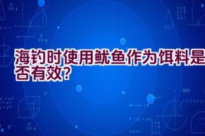 海钓时使用鱿鱼作为饵料是否有效？