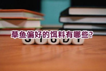 草鱼偏好的饵料有哪些？
