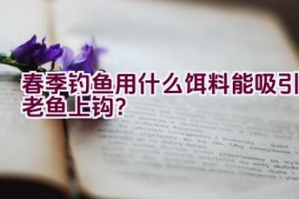春季钓鱼用什么饵料能吸引老鱼上钩？