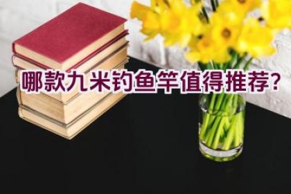 哪款九米钓鱼竿值得推荐？