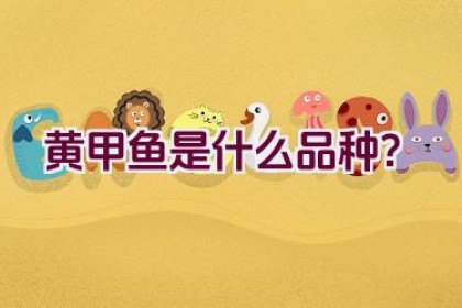 黄甲鱼是什么品种？