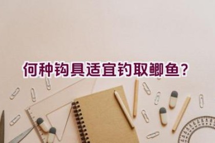 何种钩具适宜钓取鲫鱼？