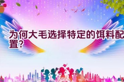 为何大毛选择特定的饵料配置？
