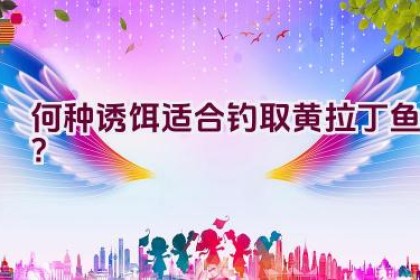 何种诱饵适合钓取黄拉丁鱼？