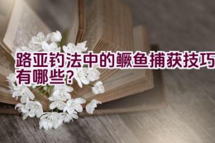 路亚钓法中的鳜鱼捕获技巧有哪些？