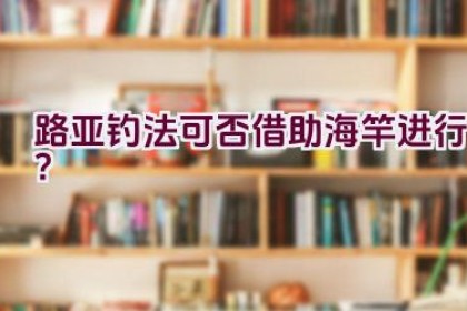 路亚钓法可否借助海竿进行？