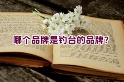 哪个品牌是钓台的品牌？
