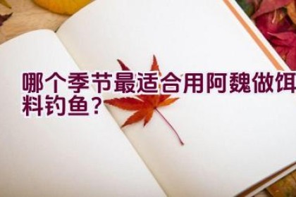 哪个季节最适合用阿魏做饵料钓鱼？