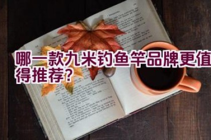 哪一款九米钓鱼竿品牌更值得推荐？