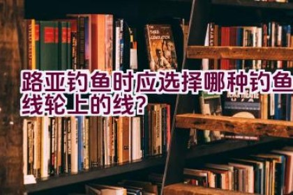 路亚钓鱼时应选择哪种钓鱼线轮上的线？