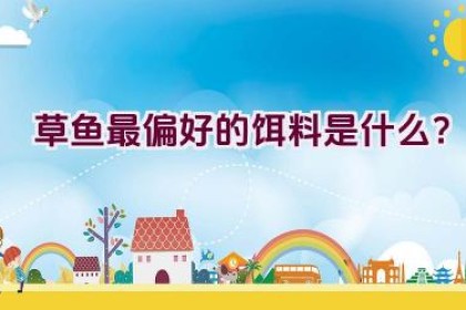 草鱼最偏好的饵料是什么？