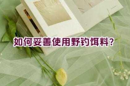 如何妥善使用野钓饵料？