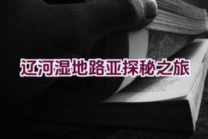 辽河湿地路亚探秘之旅