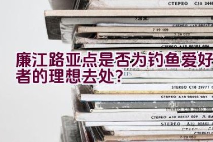 廉江路亚点是否为钓鱼爱好者的理想去处？