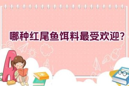 “哪种红尾鱼饵料最受欢迎？”