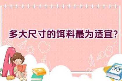 多大尺寸的饵料最为适宜？