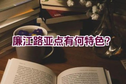 “廉江路亚点有何特色？”