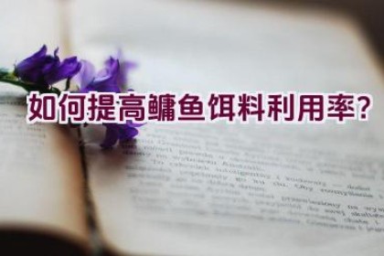 如何提高鳙鱼饵料利用率？
