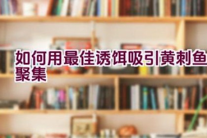 如何用最佳诱饵吸引黄刺鱼聚集