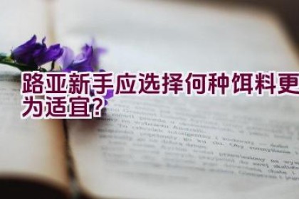 路亚新手应选择何种饵料更为适宜？