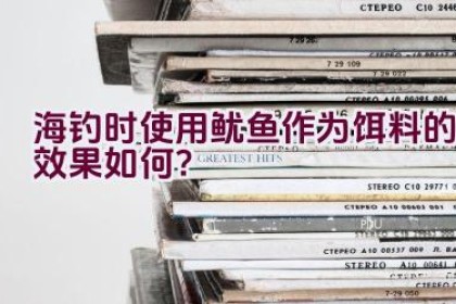 海钓时使用鱿鱼作为饵料的效果如何？