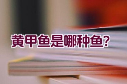 黄甲鱼是哪种鱼？