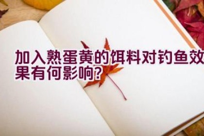 加入熟蛋黄的饵料对钓鱼效果有何影响？