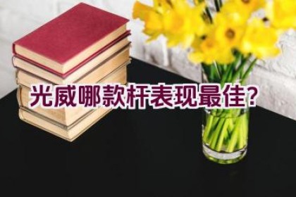 光威哪款杆表现最佳？