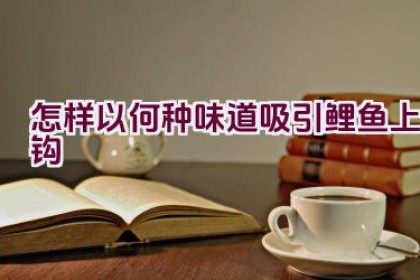 怎样以何种味道吸引鲤鱼上钩