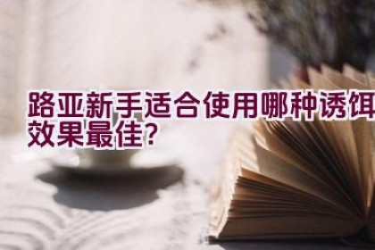 路亚新手适合使用哪种诱饵效果最佳？