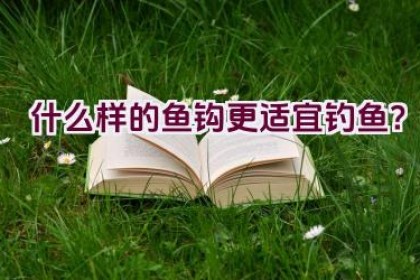什么样的鱼钩更适宜钓鱼？