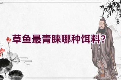 草鱼最青睐哪种饵料？