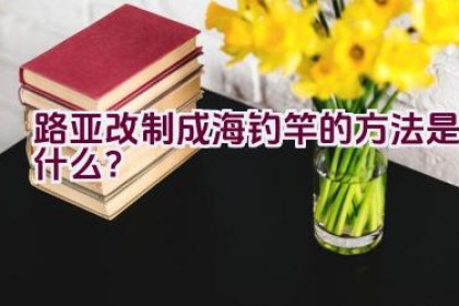 路亚改制成海钓竿的方法是什么？