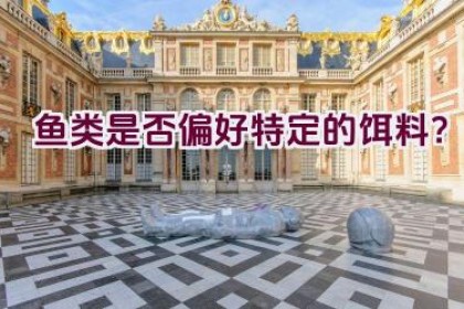 鱼类是否偏好特定的饵料？