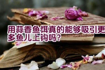 用蒜香鱼饵真的能够吸引更多鱼儿上钩吗？