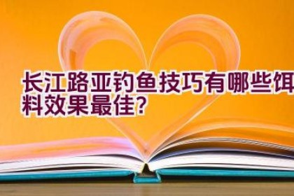 长江路亚钓鱼技巧有哪些饵料效果最佳？