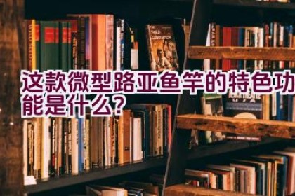 这款微型路亚鱼竿的特色功能是什么？