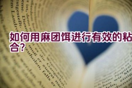 如何用麻团饵进行有效的粘合？