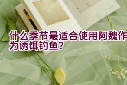 什么季节最适合使用阿魏作为诱饵钓鱼？