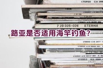路亚是否适用海竿钓鱼？