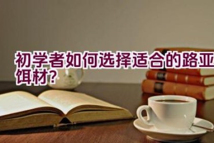 “初学者如何选择适合的路亚饵材？”