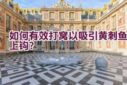 如何有效打窝以吸引黄刺鱼上钩？